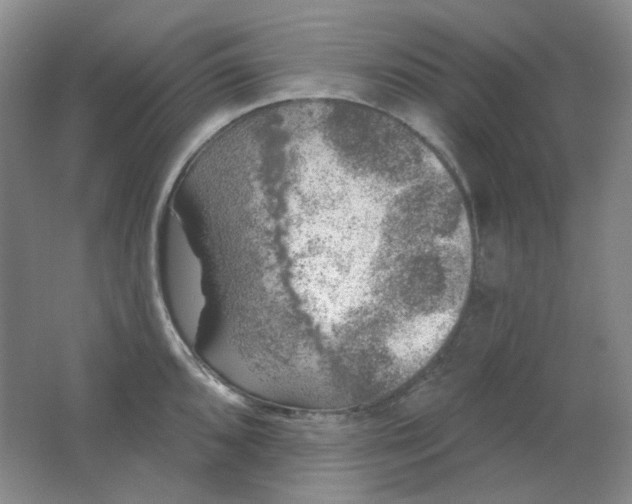 X0000062141096200512231458