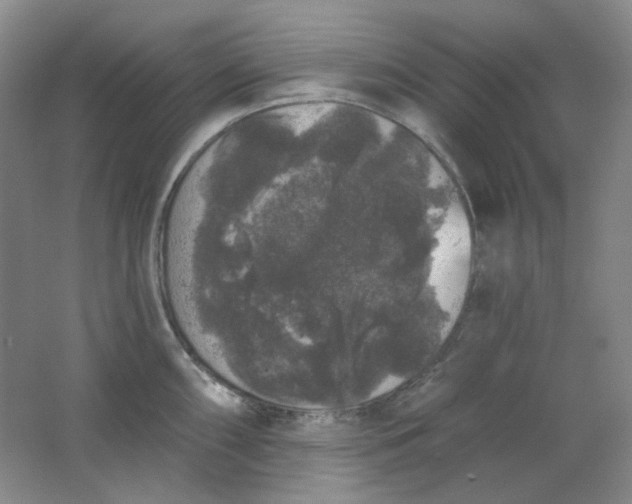 X0000062141098200512231458