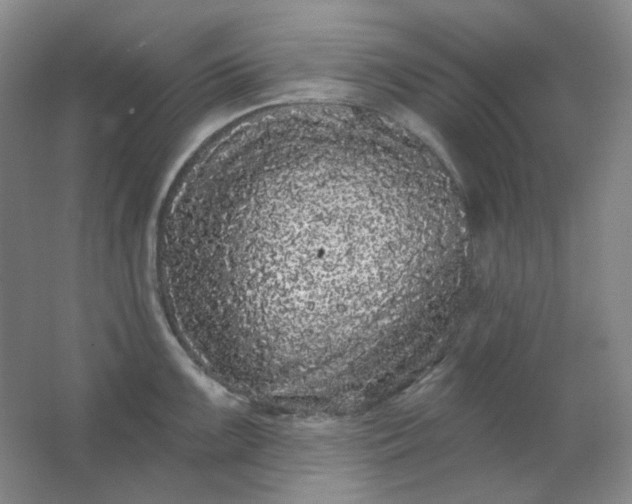 X0000062141099200512231458