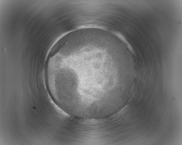 X0000062141100200512231458