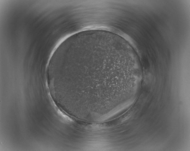 X0000062141102200512231458