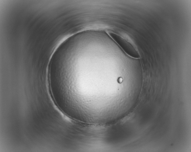 X0000062141103200512231458