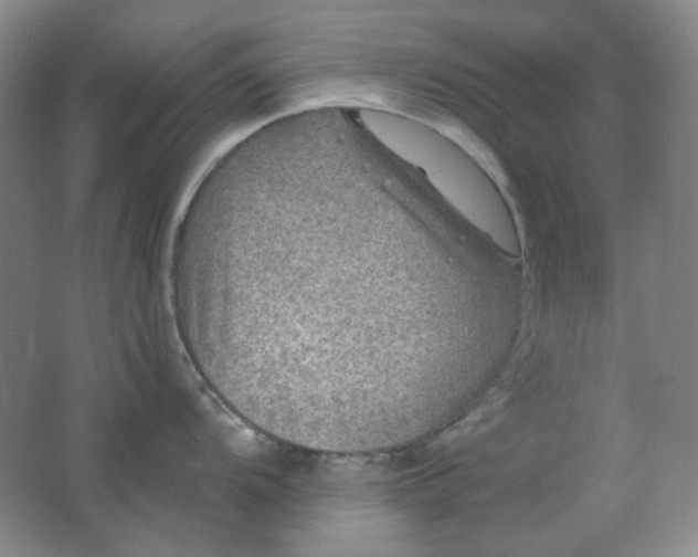 X0000062141104200512231458