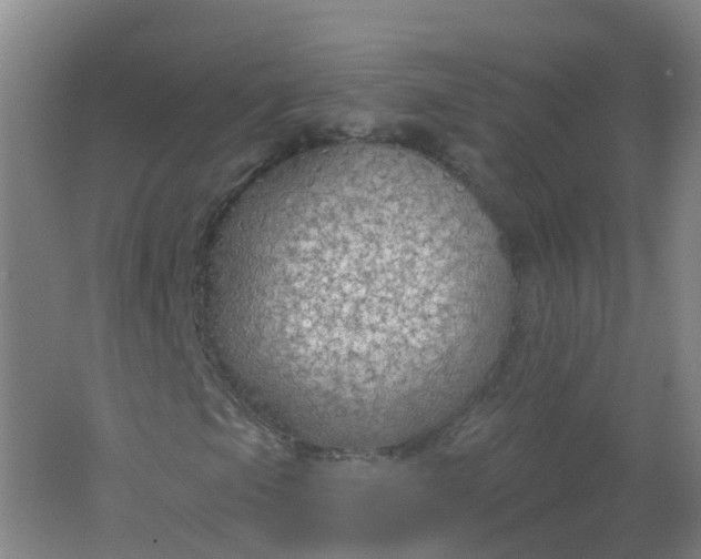 X0000062141105200512231457