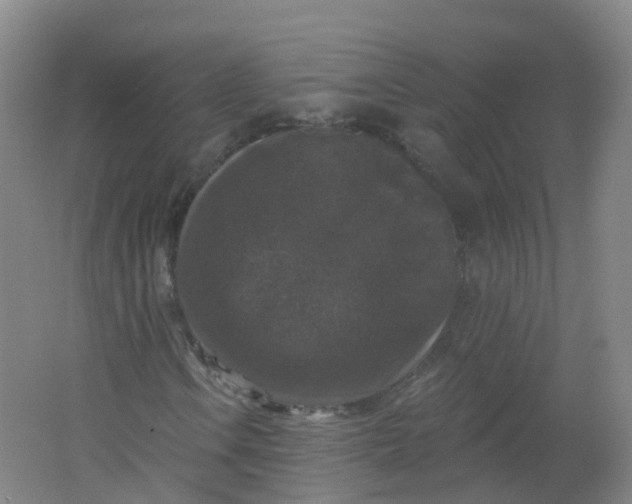 X0000062141106200512231457