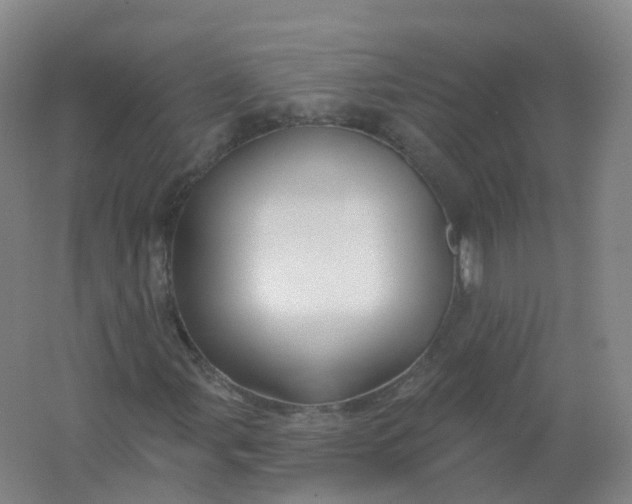 X0000062141107200512231457