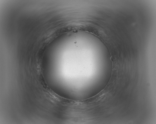 X0000062141109200512231457