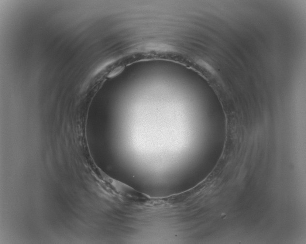 X0000062141112200512231457