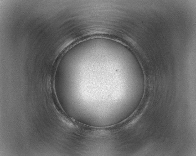 X0000062141113200512231457