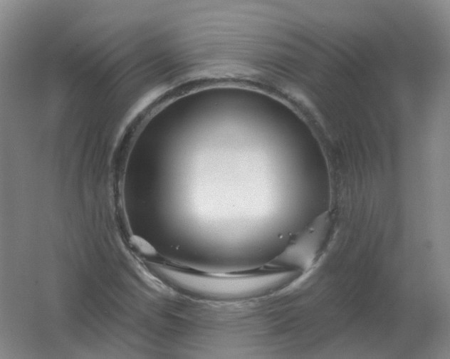 X0000062141114200512231457