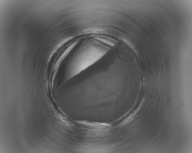 X0000062141117200512231457