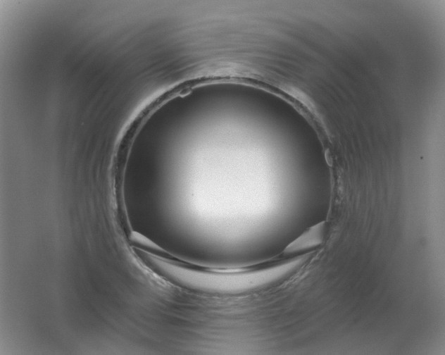 X0000062141120200512231457