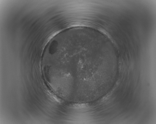 X0000062141121200512231457