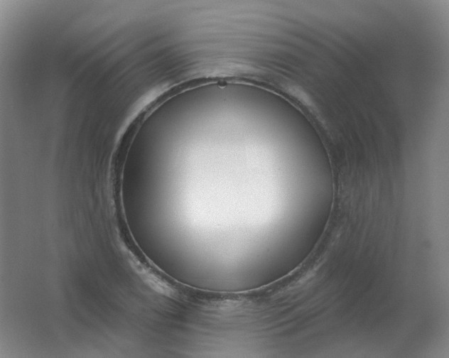 X0000062141122200512231458