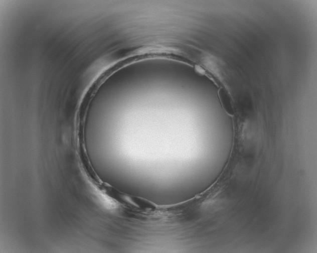 X0000062141124200512231458