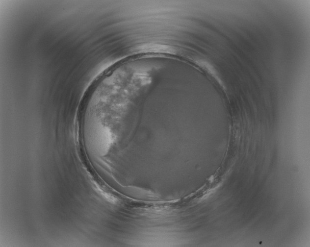 X0000062141125200512231458