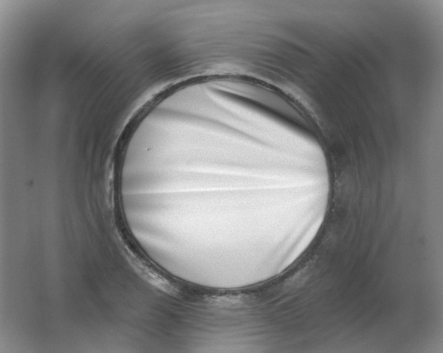 X0000062141126200512231458