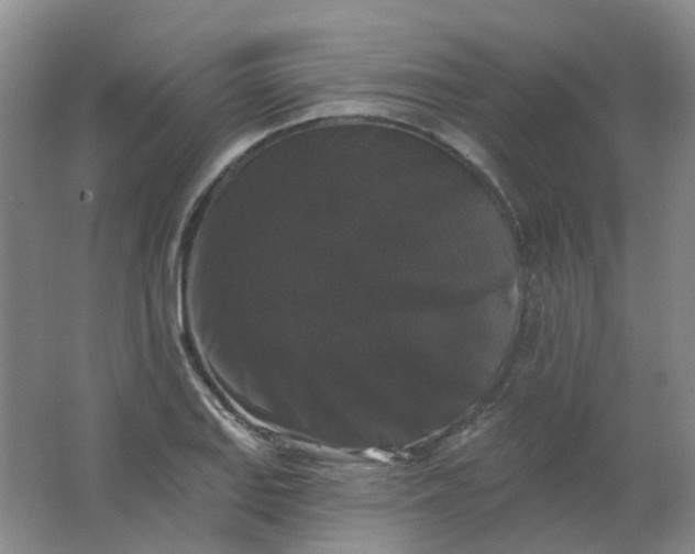 X0000062141127200512231458