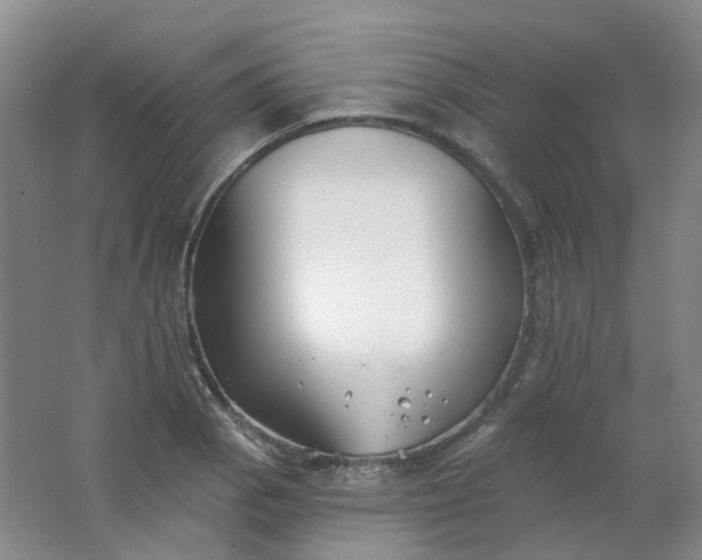 X0000062141129200512231458