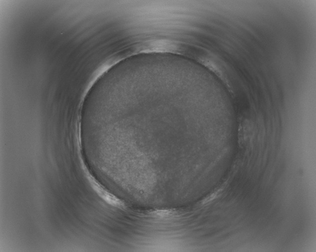 X0000062141130200512231458