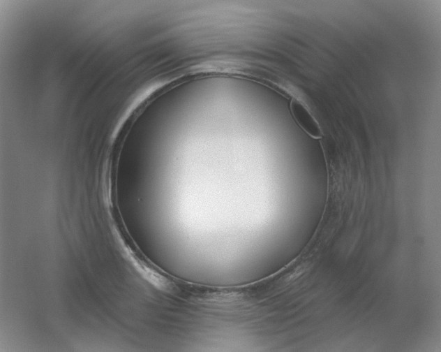 X0000062141131200512231458