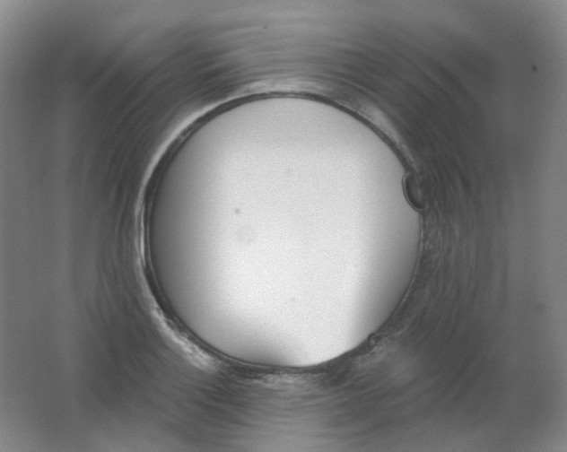 X0000062141132200512231458