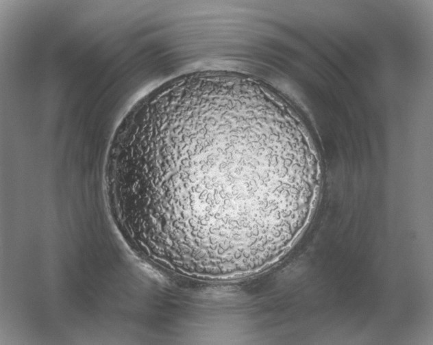 X0000062141133200512231458