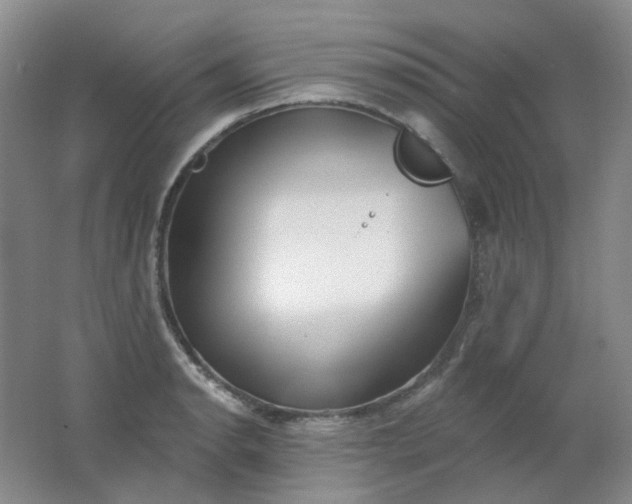 X0000062141134200512231458