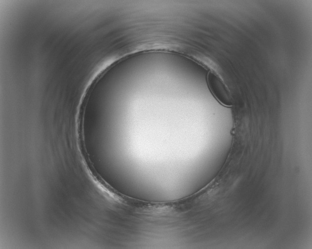 X0000062141135200512231458