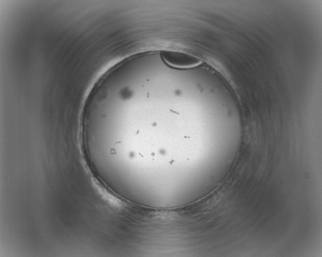 X0000062141136200512231458