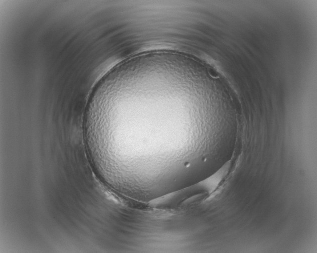 X0000062141137200512231458