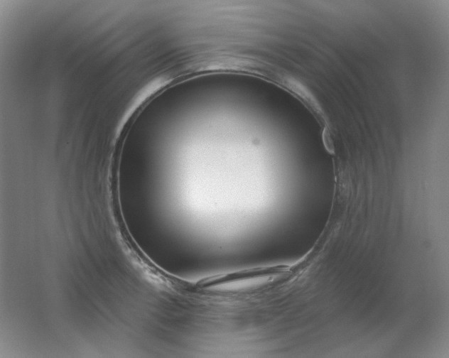 X0000062141138200512231458