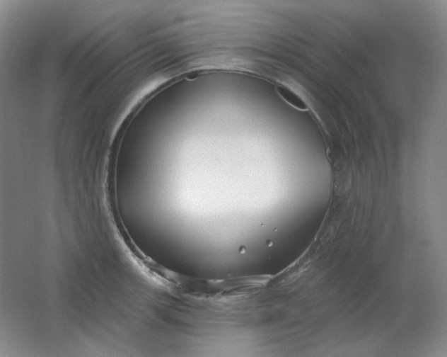 X0000062141139200512231458