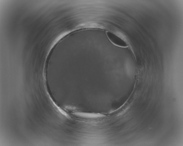 X0000062141141200512231458