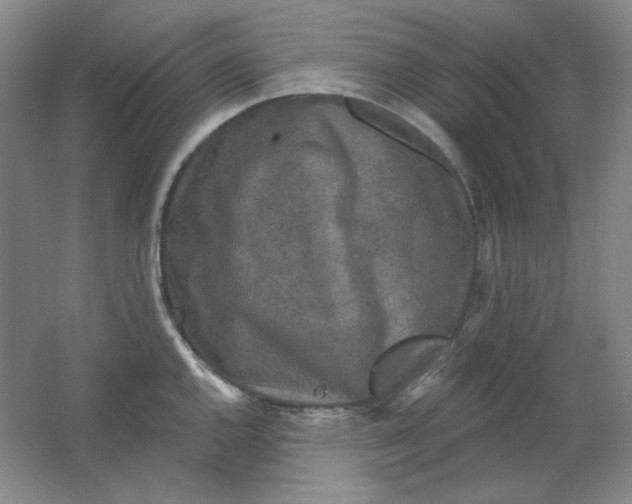 X0000062141144200512231458