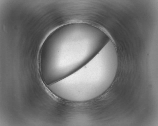 X0000062141148200512231458