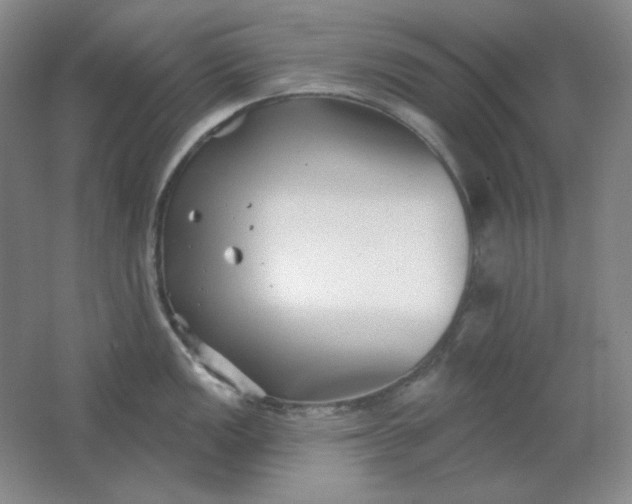 X0000062141149200512231458