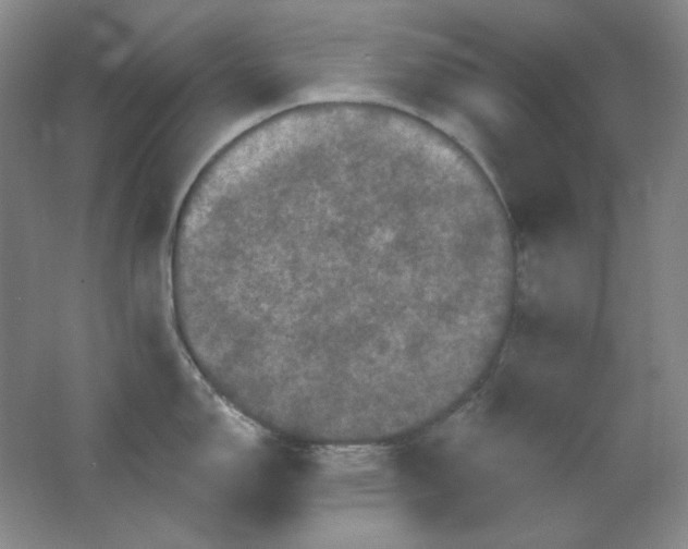 X0000062141150200512231458