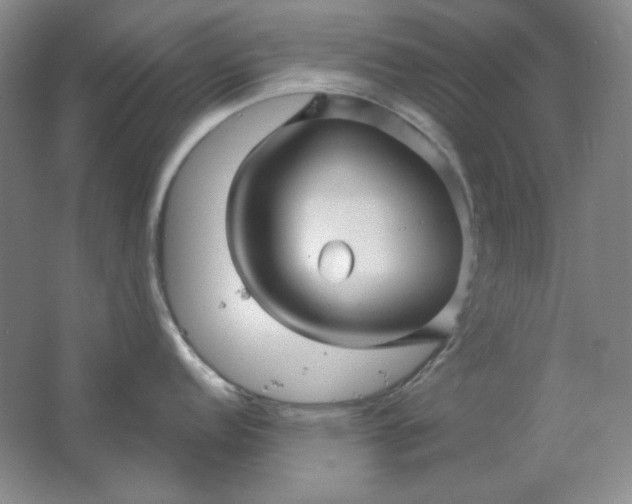 X0000062141152200512231458