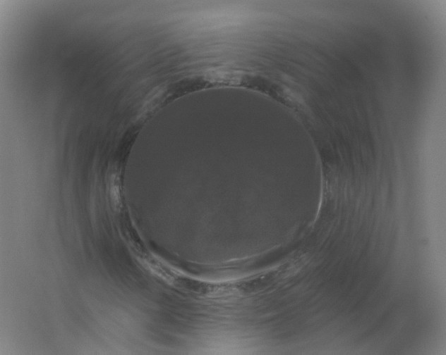 X0000062141154200512231457