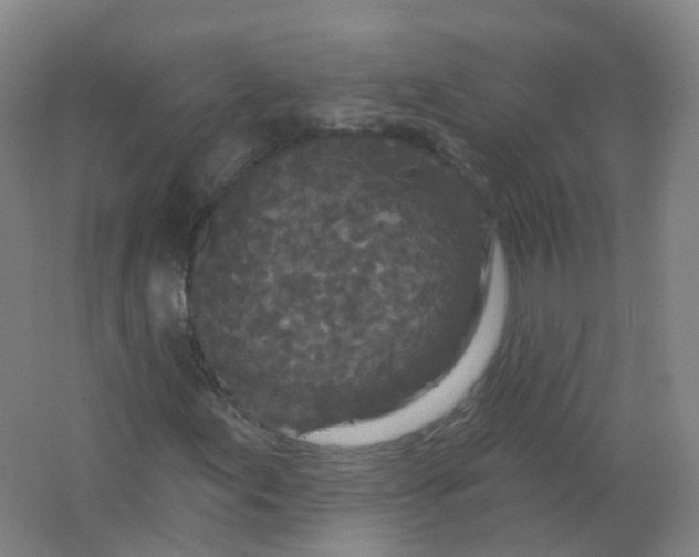 X0000062141155200512231457