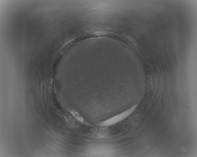 X0000062141158200512231457