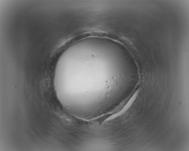 X0000062141159200512231457