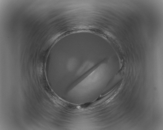 X0000062141161200512231457