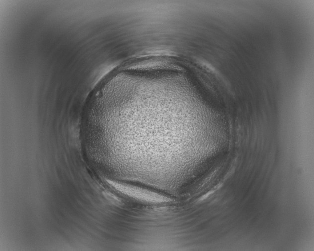 X0000062141162200512231457