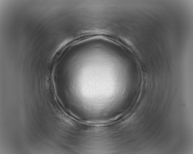 X0000062141163200512231457