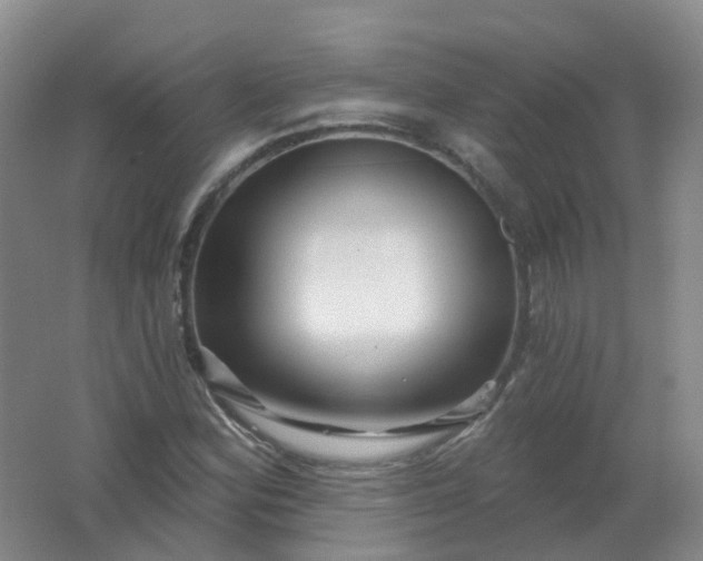 X0000062141164200512231457