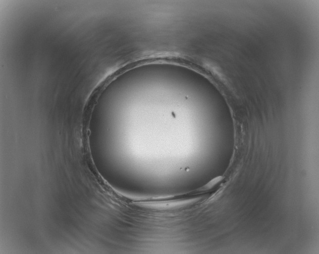 X0000062141165200512231457