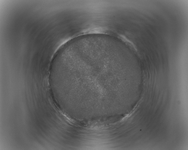 X0000062141166200512231457