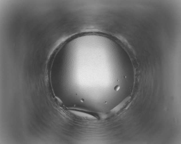 X0000062141167200512231457